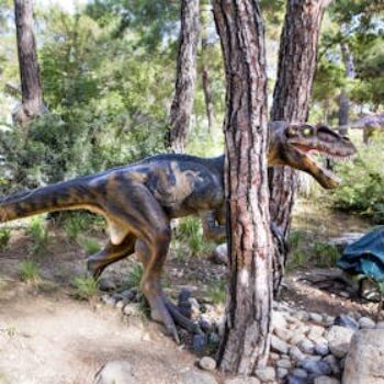 things-to-do-in-antalya-dinopark